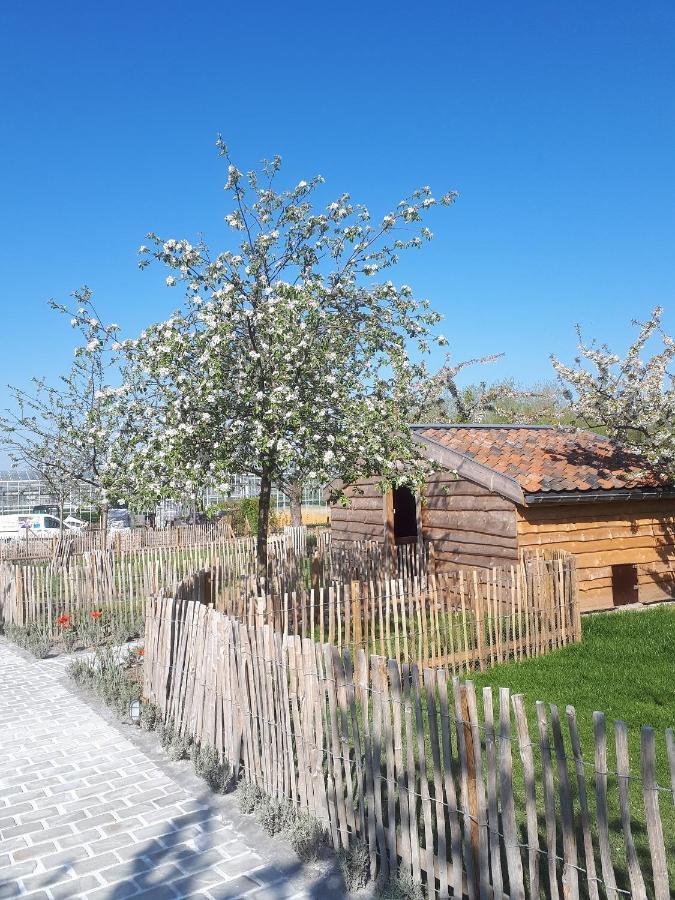 De Bonderbei Bed & Breakfast Wellen Eksteriør bilde